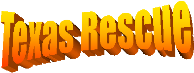 Texas Rescue